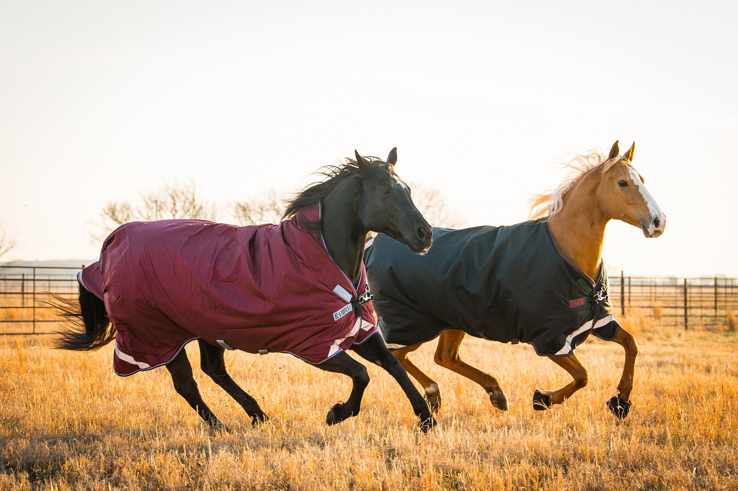 Horseware Rambo Wug Turnout Lite 50g NEU horsetrends