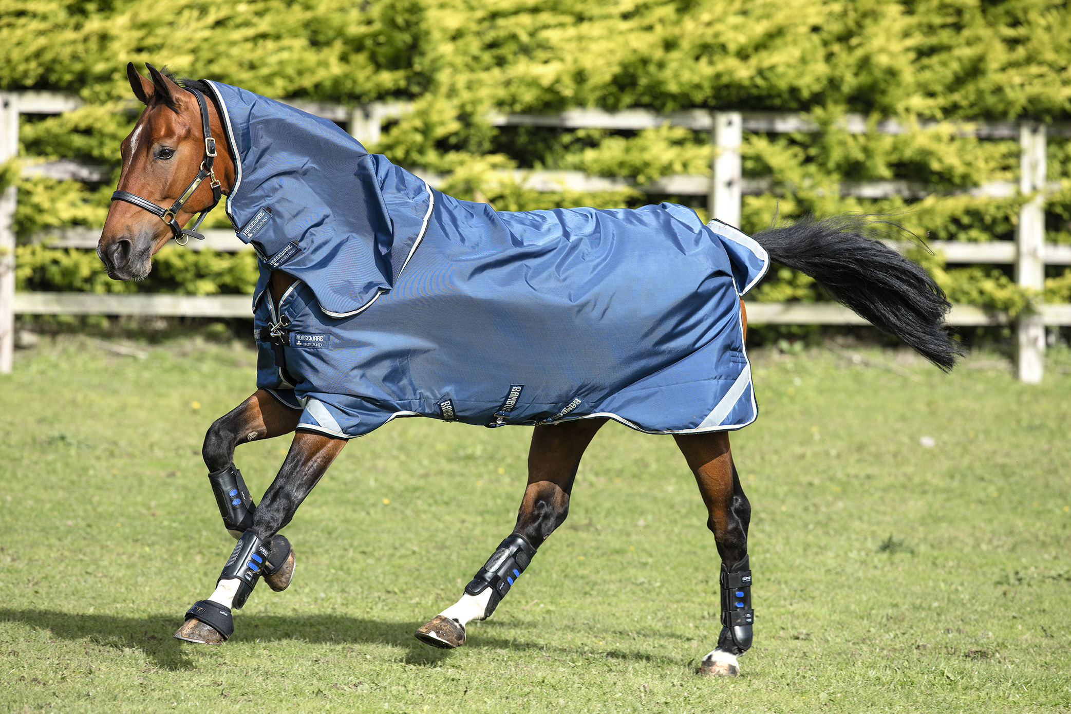 Horseware Rambo Duo Tech Bundle horsetrends