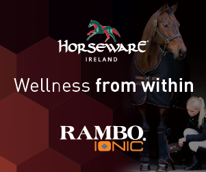 Horseware Rambo IONIC Stable Sheet